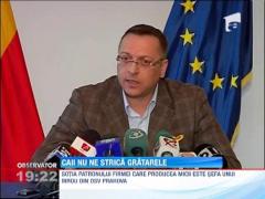 Caii au pornit in galop prin micii romanilor