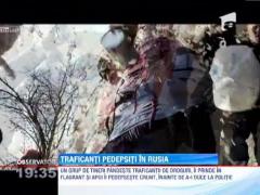 Pedeapsa pentru traficantii de droguri din Rusia: sunt legati si le toarna vopsea si fulgi in cap