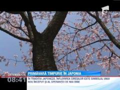 Primavara timpurie in Tokyo: Cirestii au inflorit cu zece zile mai devreme