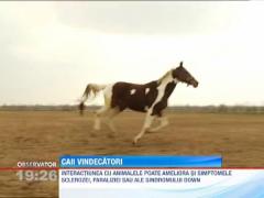 Hipoterapia, o noua metoda de tratament