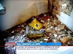 EXCLUSIV! Spitalul de boli dermato-venerice din Bucuresti, un focar de infectii in mijlocul orasului