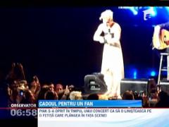 Pink si-a oprit concertul pentru a linisti un copil care plangea