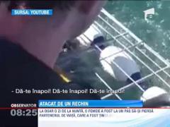 Era sa sfarseasca in falcile unui rechin, la numai o zi dupa ce s-a casatorit