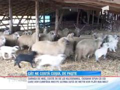 Primele produse de Paste au fost scoase la vanzare. Iata cat vei cheltui pentru Sarbatorile Pascale!