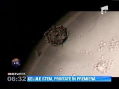 Cativa cercetatori au reusit sa printeze celule stem cu ajutorul unei imprimante 3D
