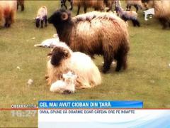 Cel mai bogat cioban din tara: O poveste despre perseverenta, munca si succes