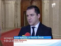 Parlamentarii si-au luat liber o saptamana cu ocazia Pastelui Catolic, desi aproximativ 90% dintre ei sunt ortodocsi