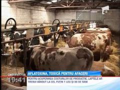 Aflatoxina, daunatoare si pentru afaceri