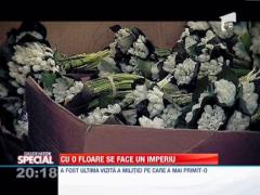 Observator Special: A facut un imperiu din flori, inainte de Revolutie