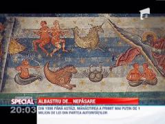 Observator Special: Albastrul de Voronet, aproape de disparitie