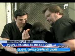 Doi ingrijitori de la o gradina zoologica din SUA au devenit parinti pentru un pui de gorila