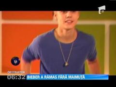 Justin Bieber a ramas fara mult iubita sa maimuta