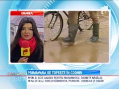 Romania a intrat in zodia codurilor! 11 judete sunt amenintate de inundatii in urmatoarele ore