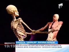 Expozitia "Ororilor", bucuria copiilor