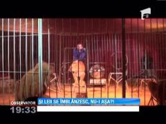 JOCUL CU LEII: Viata de circar, o drumetie continua