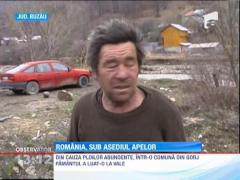 Apele au facut prapad in Romania. Trei ciobani cu 700 de oi au ramas izolati pe o insulita