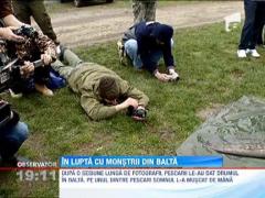 Observator de Weekend