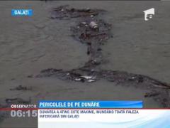 Dunarea a devenit un fluviu al gunoaielor, ce pune in pericol sanatatea oamenilor