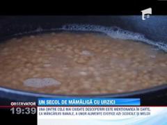 Cum s-a schimbat regimul alimentar al romanilor in ultimul secol