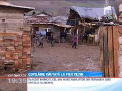 COPIII CAUTA LUMINA! Micutii din Tarnaveni sunt hraniti pe rand!