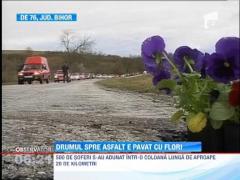 Drumul European 76: 500 de soferi au plantat flori in craterele din asfalt
