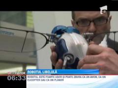 Un ALTFEL de robot: Libelula mecanica