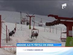 Temperaturi de primavara la munte: Weekend alb pe partiile din Sinaia