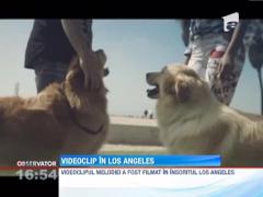 Trupa Vunk a lansat videoclipul piesei "Doi somnambuli"