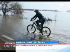 Nivelul Dunarii continua sa creasca. Insula Mare a Brailei a fost inundata