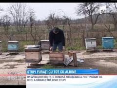 Stupi furati cu tot cu albine dintr-o localitate argeseana