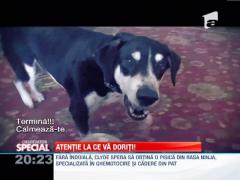 OBSERVATOR SPECIAL: Atentie la ce va doriti!