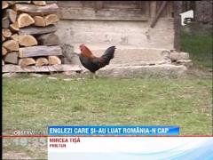 Satul Manastur, casa pentru alte 13 familii de straini