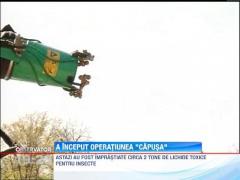 UPDATE! In Capitala, a inceput vanatoarea de capuse