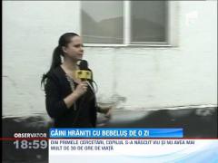 UPDATE! Cadavrul unui nou-nascut, gasit langa spitalul din Targu Carbunesti