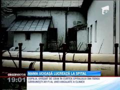 O angajata a unui spital a nascut in secret si apoi a aruncat pruncul la caini!