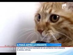 Pisica indragostita de aspirator