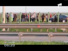 Hora pe marginea Autostrazii Soarelui