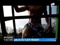 Job de vis, platit regeste: Tester de tobogane