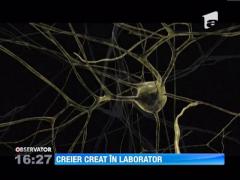 Un calculator care imita perfect creierul uman