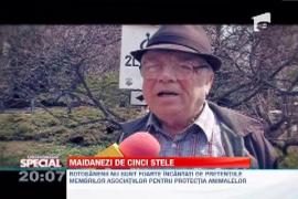 Observator Special: Conditii de lux pentru maidanezii din Botosani