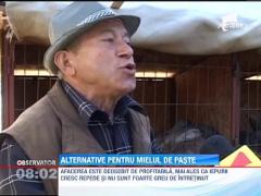 Iepurii giganti si iezii, alternative pentru mielul de paste
