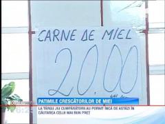 Ciobanii tin cu dintii de pretul carnii de miel