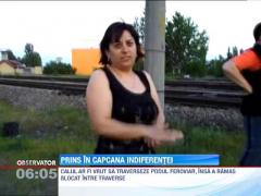 Un cal a ramas blocat intre traversele unui pod feroviar