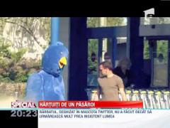 Observator Special: Hartuiti de un pasaroi mare si albastru