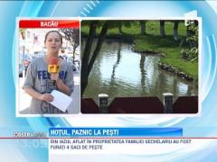 Hotul, paznic la pestii lui Dumitru Sechelariu