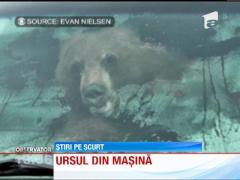 Un american s-a trezit cu un urs in masina
