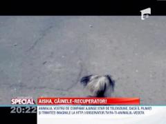 Observator Special: Aisha, cainele-recuperator
