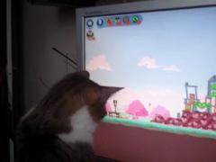 Sisi joaca ANGRY BIRDS