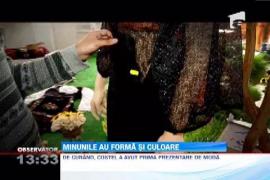 Observator 13 Weekend