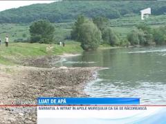 Barbat inghitit de raul Mures